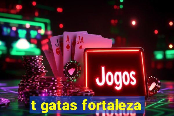 t gatas fortaleza